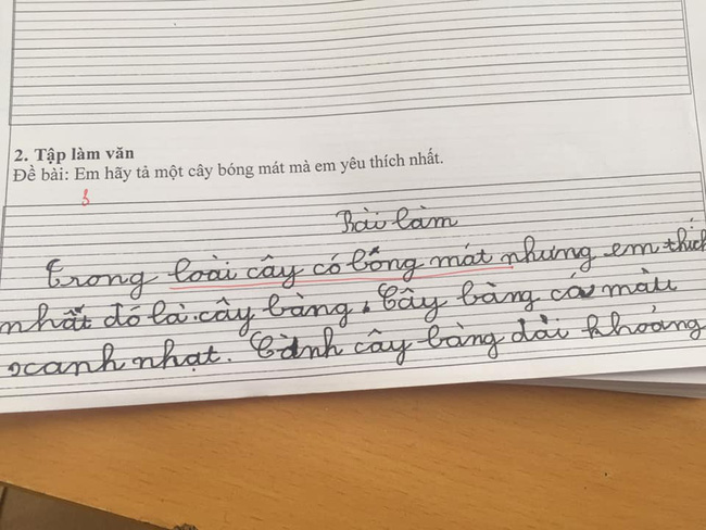 Chết cười với loạt văn tả cây của học sinh lớp 1, đến cô giáo cũng 