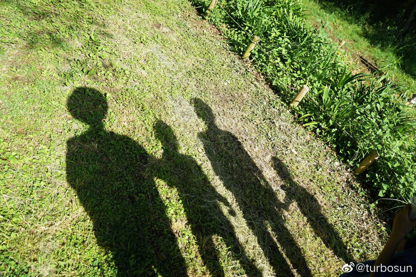 Cặp đ&ocirc;i v&agrave;ng Cbiz Đặng Si&ecirc;u - T&ocirc;n Lệ kỷ niệm 9 năm ng&agrave;y cưới: T&iacute;nh c&aacute;ch qu&aacute; kh&aacute;c nhau, chỉ c&oacute; t&igrave;nh y&ecirc;u l&agrave; m&atilde;i m&atilde;i - Ảnh 5.