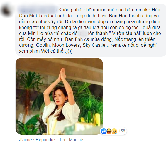 Rộ tin đồn Vườn Sao Băng có phiên bản Việt, netizen ngán ngẩm: Kiếm được cực phẩm như Lee Min Ho đi rồi tính! - Ảnh 8.