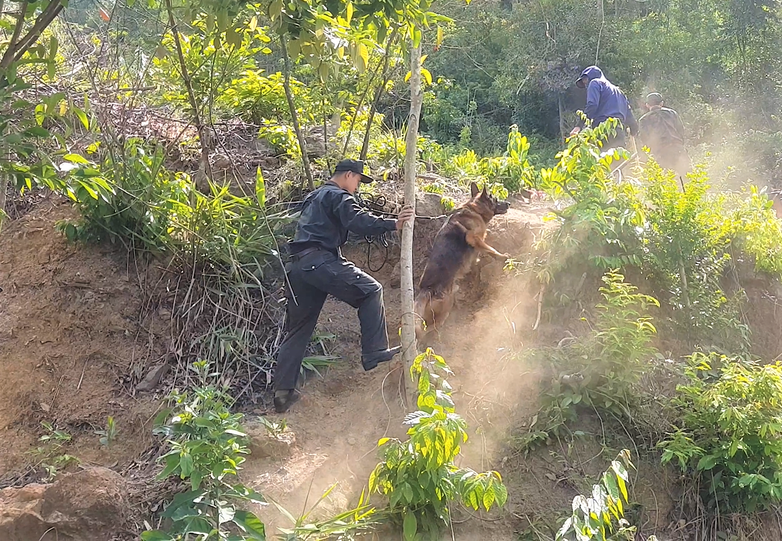 Thông tin chó nghiệp vụ hy sinh khi truy tìm tội phạm nguy hiểm vượt ngục là không chính xác - Ảnh 7.