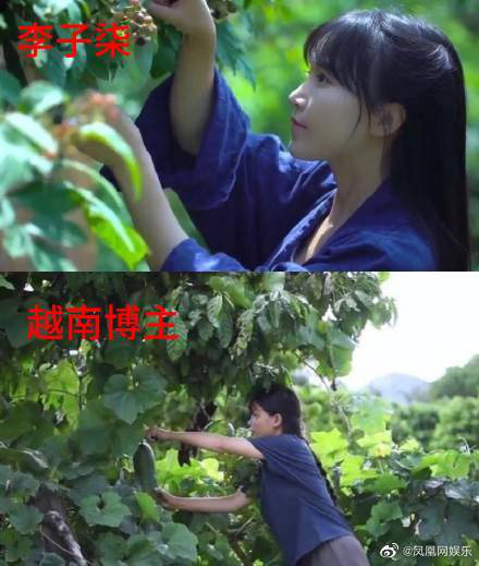 Nghi vấn một kênh Youtube ẩm thực của Việt Nam “đạo nhái” Lý Tử Thất bị netizen Trung Quốc lên án gay gắt, lọt hẳn top 1 tìm kiếm weibo - Ảnh 7.