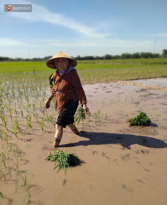 Cụ bà gần 90 tuổi ở Hà Nội hàng ngày đi cấy, đan lưới làm thú vui tao nhã: “Các cháu chưa chắc đã khoẻ bằng tôi” - Ảnh 6.