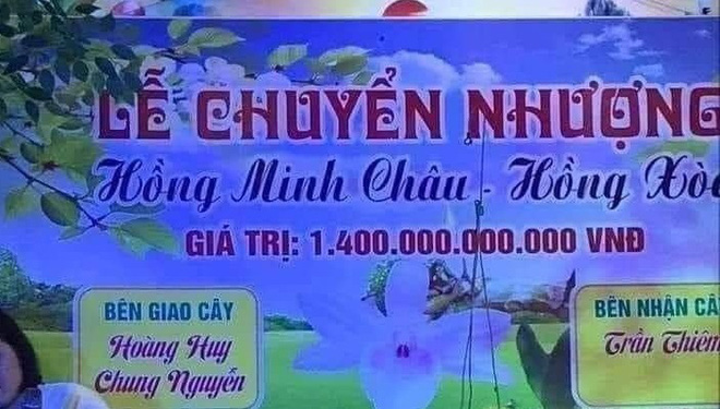 Sự thật ngã ngửa về cây lan đột biến hồng minh châu có giá 1.400 tỷ đồng - Ảnh 1.