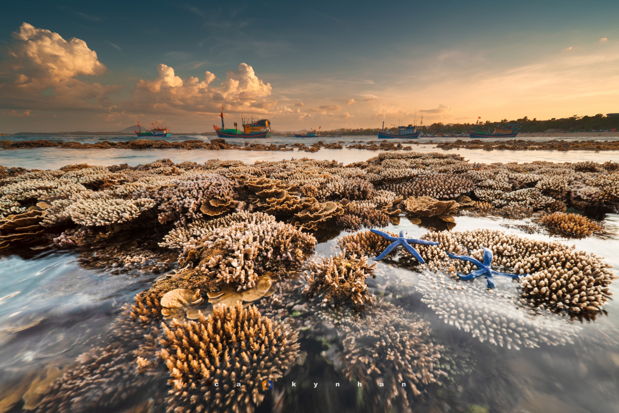 Hay l&agrave; m&igrave;nh về qu&ecirc; chăn vịt - bộ ảnh chụp từ tr&ecirc;n kh&ocirc;ng đ&agrave;n vịt v&agrave;i ngh&igrave;n con của ch&agrave;ng nhiếp ảnh trẻ g&acirc;y ấn tượng mạnh - Ảnh 5.