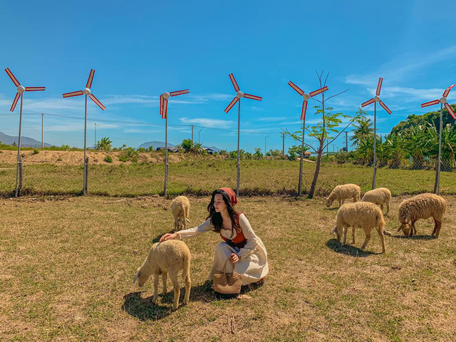 Khám phá loạt điểm đến đẹp hút hồn ở Ninh Thuận trong 3N2Đ: Nắng, gió và thiên nhiên hoang sơ khiến du khách quên lối về - Ảnh 5.