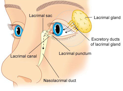 Giải mã bí ẩn của haemolacria: Chứng bệnh khiến những cô gái Ấn Độ khóc ra máu - Ảnh 6.