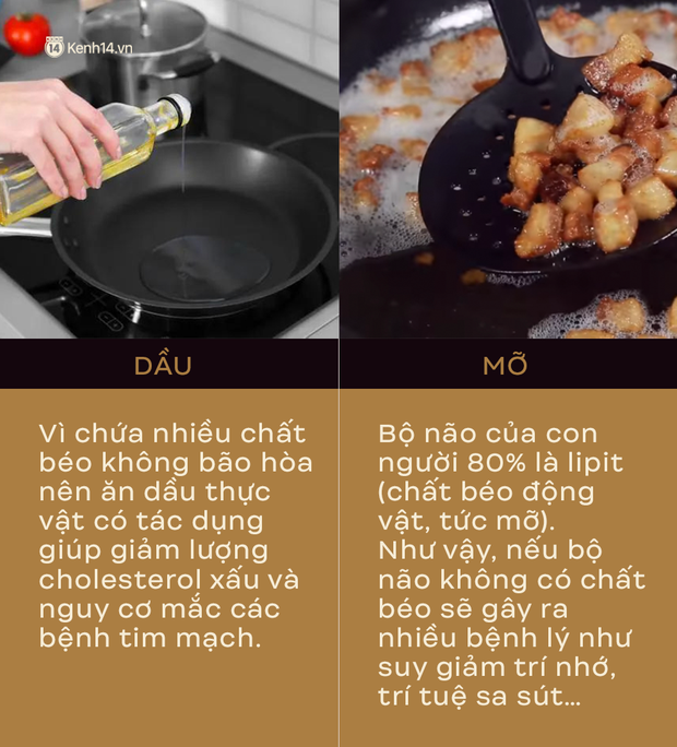 TS Từ Ngữ - Tổng Thư ký Hội Dinh dưỡng Việt Nam: Nhiều người đang hiểu lầm về vai trò của mỡ và không ăn mỡ - Ảnh 2.