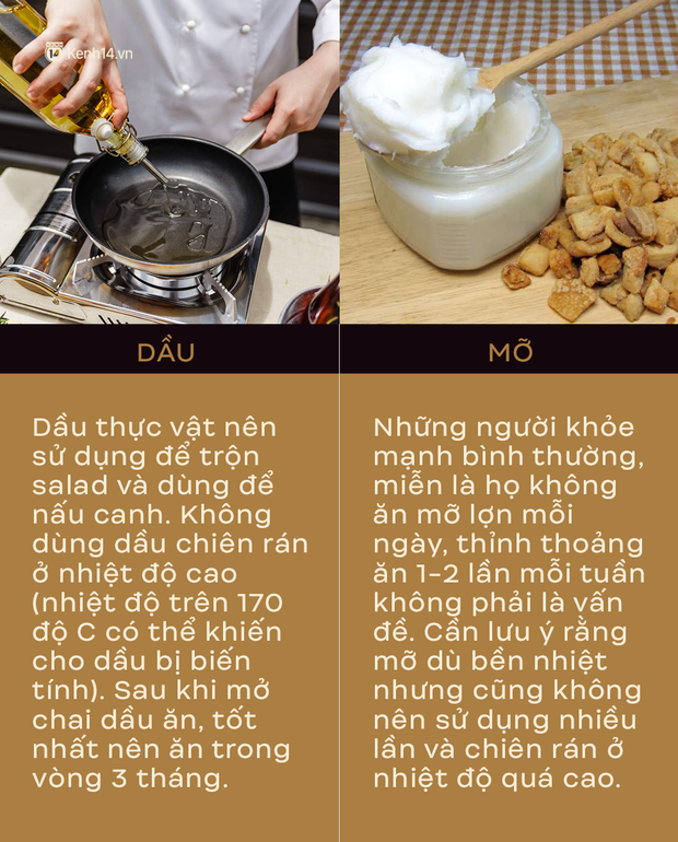 TS Từ Ngữ - Tổng Thư ký Hội Dinh dưỡng Việt Nam: Nhiều người đang hiểu lầm về vai trò của mỡ và không ăn mỡ - Ảnh 3.