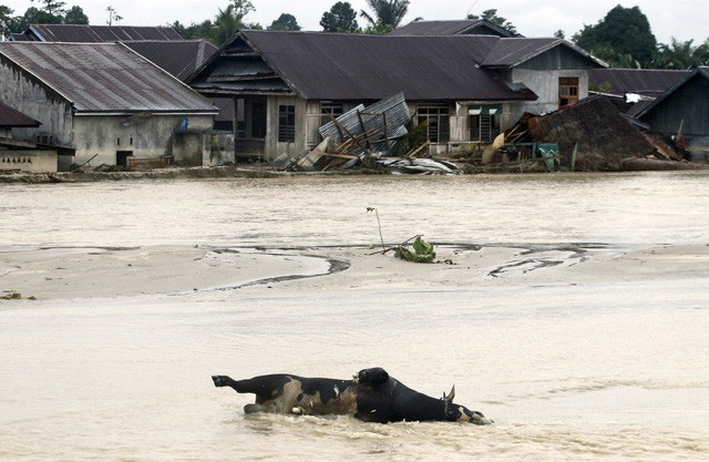 Lũ lụt gây thiệt hại nghiêm trọng tại Indonesia, ít nhất 36 người thiệt mạng - Ảnh 1.