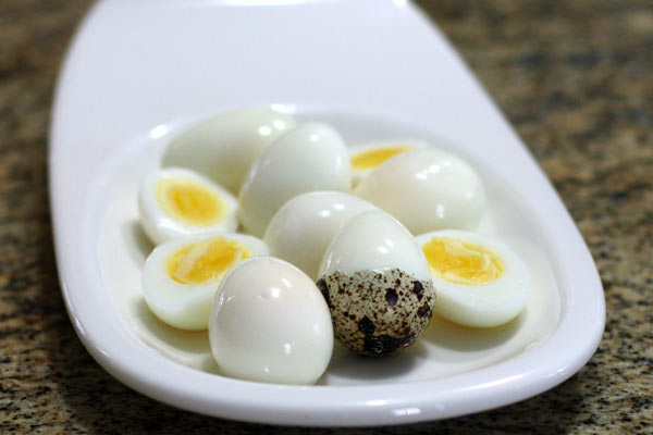 Hình ảnh Trứng Cút PNG  Lừa Hoặc điều Trị Trứng Chim Bồ Câu Trứng Cút  PNG Bảo Quản PNG trong suốt và Vector để tải xuống miễn phí