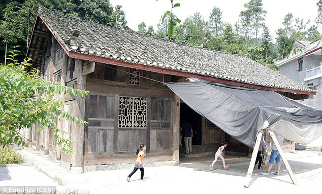Mang khúc gỗ xấu xí về vứt ở góc vườn, 5 năm sau người đàn ông choáng váng phát hiện đó là cả gia tài trị giá 66 tỷ đồng - Ảnh 6.