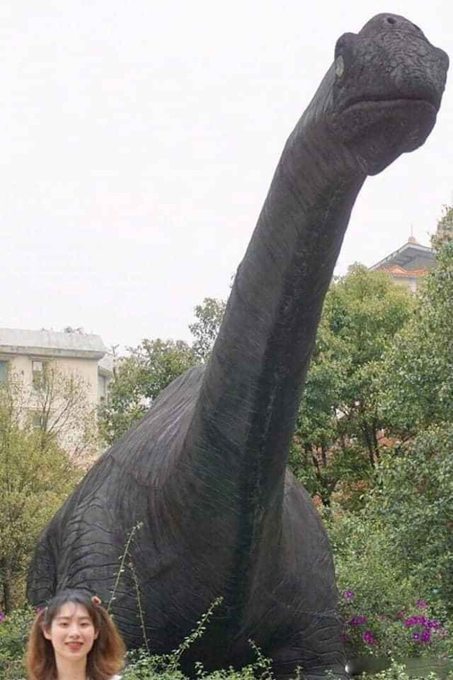 Kết cục sợ khiếp v&iacute;a cho những c&ocirc; n&agrave;ng đặt hết niềm tin v&agrave;o t&agrave;i chụp ảnh của bạn th&acirc;n v&agrave; người y&ecirc;u, khổ chủ giận t&iacute;m người m&agrave; d&acirc;n mạng cười đau bụng - Ảnh 8.