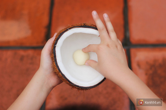Mộng dừa - món ăn tuổi thơ của người Việt từng bị “độn” giá lên tới 300k/kg vì quá hiếm, nếu mua cái càng to thì… càng dở - Ảnh 3.