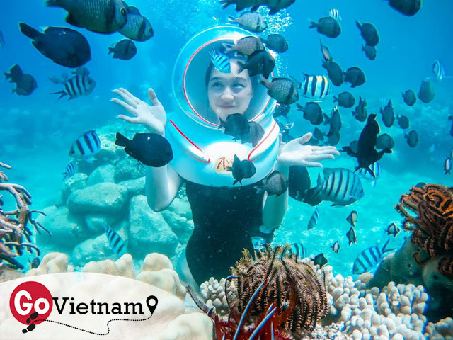 Thử trọn gói dịch vụ 5 sao ở Nha Trang: Đi bộ dưới biển, bay dù lượn, tắm bùn. Chỉ hết 8 triệu? - Ảnh 16.