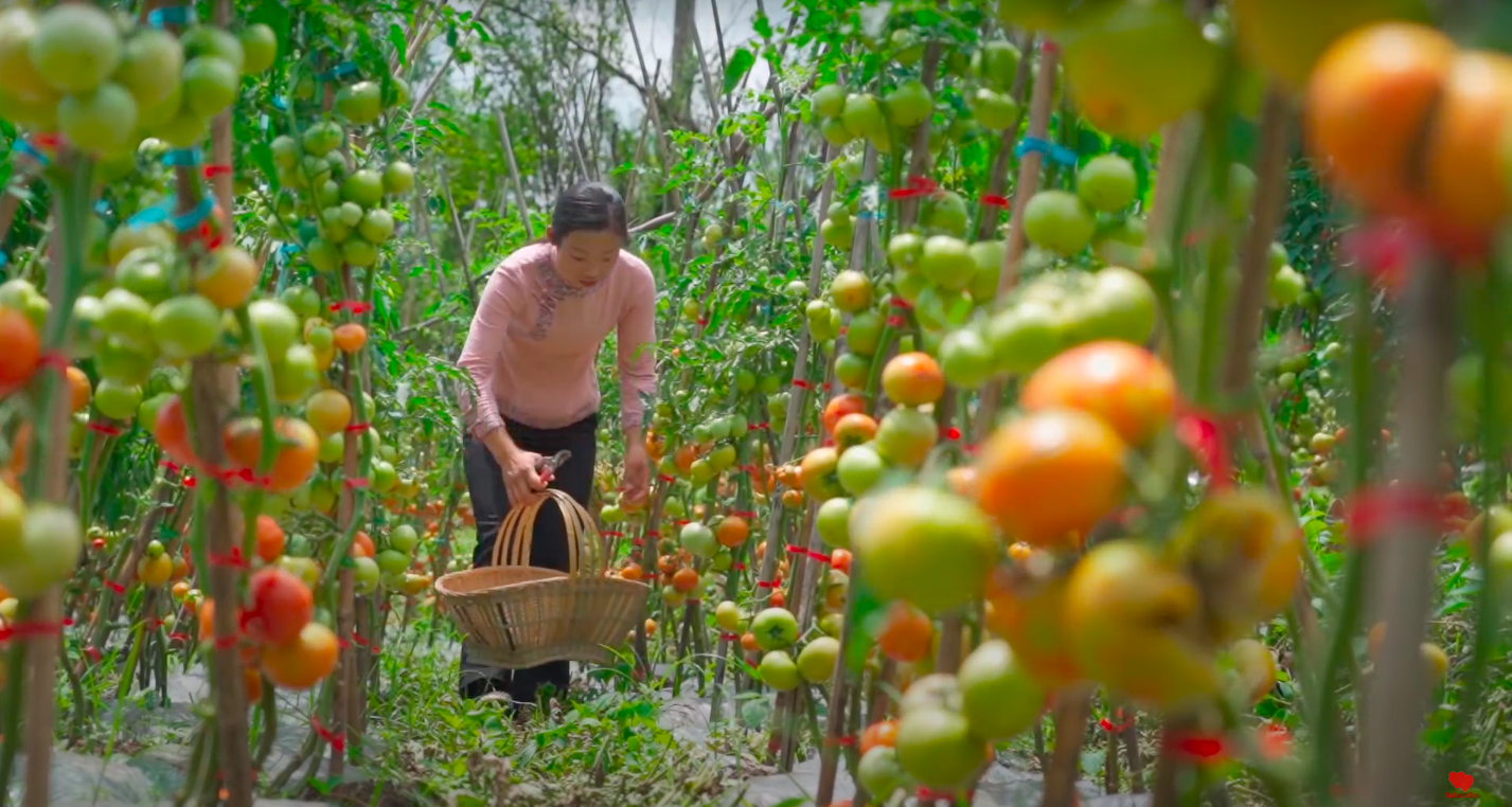 Ngay tại Trung Quốc đ&atilde; c&oacute; loạt vlogger phong c&aacute;ch na n&aacute; L&yacute; Tử Thất, c&oacute; người c&ograve;n gần như &ldquo;copy&rdquo; nguy&ecirc;n si - Ảnh 18.