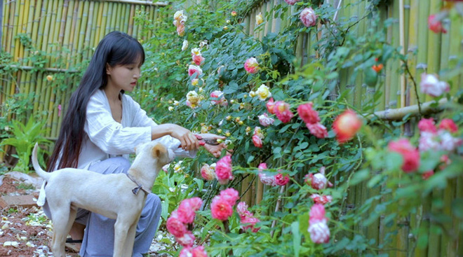 Thi nhau l&agrave;m clip nấu nướng ở đồng qu&ecirc;, liệu c&oacute; phải tất cả đều l&agrave; đạo nh&aacute;i L&yacute; Tử Thất? - Ảnh 2.