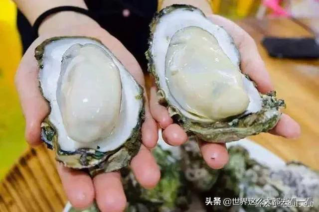 Hàu giúp tăng cường sinh lý nhưng khi mua hàu cần nhớ 2 nên, 2 không để tránh rước bệnh về nhà - Ảnh 1. Hàu giúp tăng cường sinh lý nhưng khi mua hàu cần nhớ 2 nên, 2 không để tránh rước bệnh về nhà - Ảnh 1.