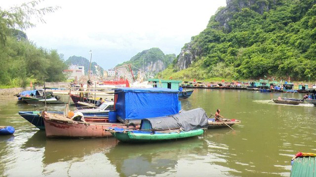 Bão số 2: Hải Phòng, Quảng Ninh sơ tán dân, cấm biển từ 0h ngày 2/8 - Ảnh 4.