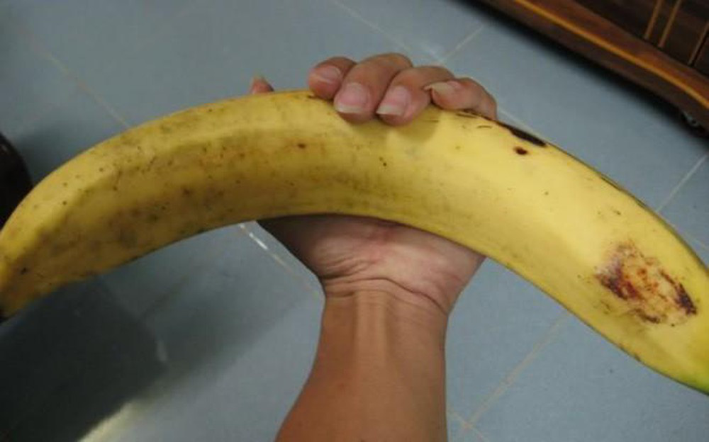 Ngỡ ngàng trước giống chuối “siêu to khổng lồ” đặc biệt tại Việt Nam, mỗi quả nặng gần 1kg giá chỉ 9.000 đồng/quả - Ảnh 4. Ngỡ ngàng trước giống chuối “siêu to khổng lồ” đặc biệt tại Việt Nam, mỗi quả nặng gần 1kg giá chỉ 9.000 đồng/quả - Ảnh 4.