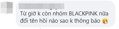Ch&iacute;nh trang tin của YG viết sai t&ecirc;n BLACKPINK trong b&agrave;i b&aacute;o n&oacute;i về m&agrave;n kết hợp với Selena Gomez, 4 c&ocirc; g&aacute;i c&oacute; t&ecirc;n mới l&agrave; nh&oacute;m&hellip; Lưng Hồng? - Ảnh 4.