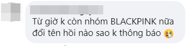 Chính trang tin của YG viết sai tên BLACKPINK trong bài báo nói về màn kết hợp với Selena Gomez, 4 cô gái có tên mới là nhóm… Lưng Hồng? - Ảnh 4.