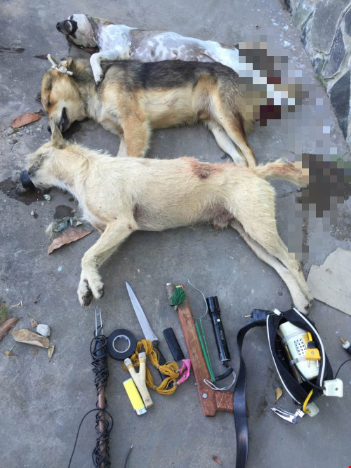 Bình Định: Thanh niên tử vong sau khi phát hiện bất tỉnh bên cạnh vật dụng trộm chó - Ảnh 1.