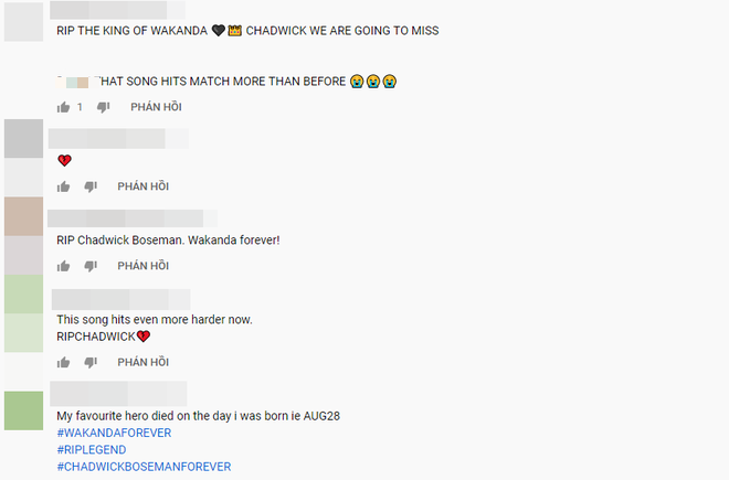 Netizen để lại bình luận dưới MV nhạc phim Black Panther bày tỏ thương tiếc tài tử Chadwick Boseman: Vĩnh biệt nhà Vua Wakanda! - Ảnh 5.
