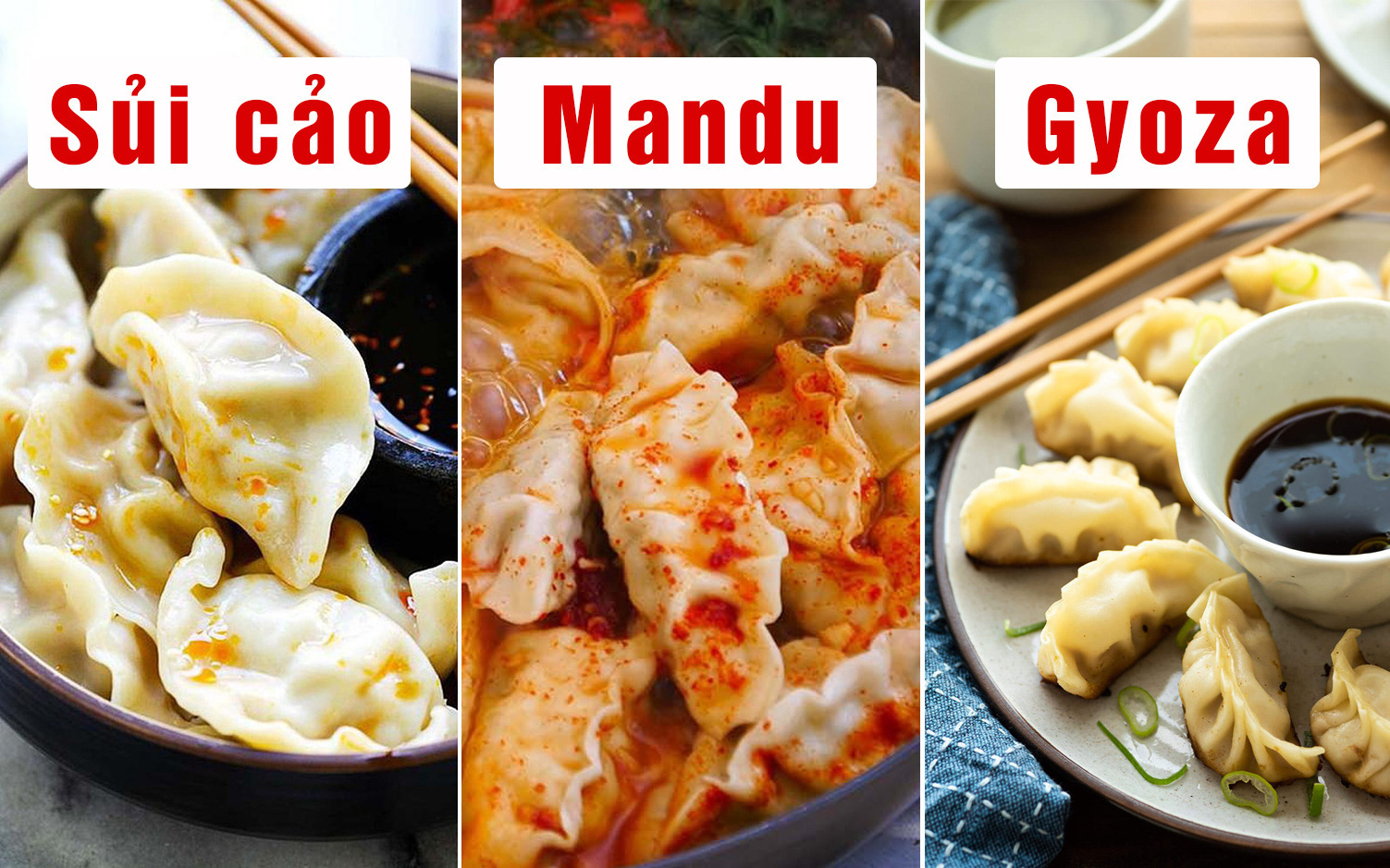 GYOZA, tin tức Mới nhất Sủi cảo Trung Quốc, mandu Hàn Quốc và gyoza