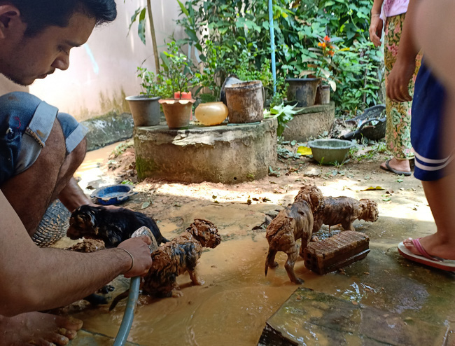 Nghe thấy tiếng kêu kỳ lạ dưới giếng, người đàn ông vội vàng nhảy xuống rồi mang lên 5 cục đất sét nhưng phải nâng niu hết mình - Ảnh 2.