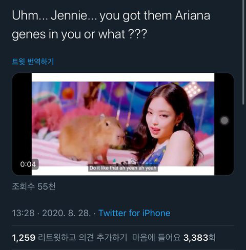 Jennie chớp mắt đá lưỡi trong MV Ice Cream bị Knet tố là bắt chước Ariana Grande, phản ứng khác fan 1 trời 1 vực - Ảnh 12.