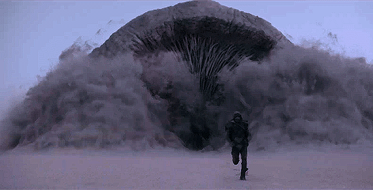 Tất tần tật về bom tấn Dune: Chàng thơ Timothée Chalamet “sát phạt” cả Thanos, phim gì đâu thấy toàn cát không! - Ảnh 6.