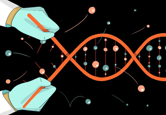 Hai năm sau bê bối chỉnh sửa gen người ở Trung Quốc, một cánh cửa hẹp đang được bỏ ngỏ cho những đứa trẻ CRISPR tương lai - Ảnh 2.