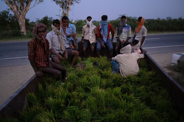 Khủng hoảng chồng khủng hoảng: Nhiều nông dân Ấn Độ tự tử trong đại dịch COVID-19 - Ảnh 3.
