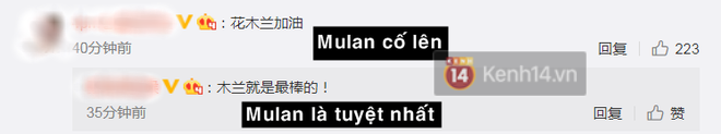 Mulan chính thức tiến đánh rạp Trung với poster cũ mèm như “năm 1900 hồi đó” - Ảnh 2.