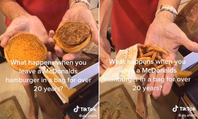 Burger và khoai tây McDonalds 24 năm không hỏng khiến MXH xôn xao, hé lộ sự thật về tuổi thọ của đồ ăn nhanh - Ảnh 2.