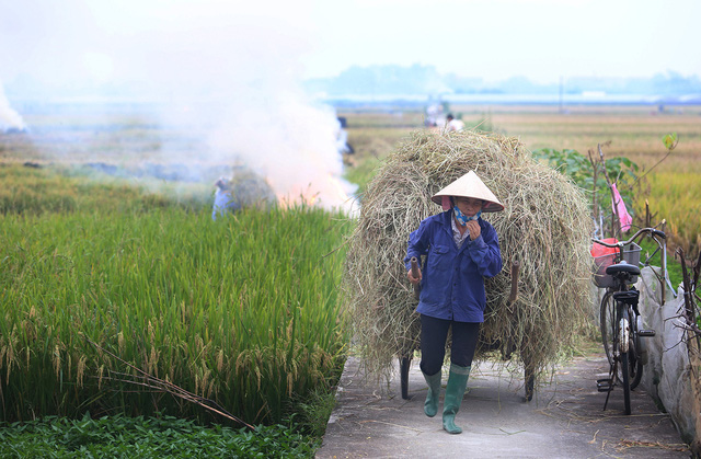  Từ 01/01/2021, Hà Nội không còn hoạt động đốt rơm rạ  - Ảnh 1.