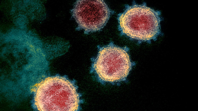 Virus SARS-CoV-2 có thể tiếp tục đột biến ngay cả khi có vaccine - Ảnh 1.