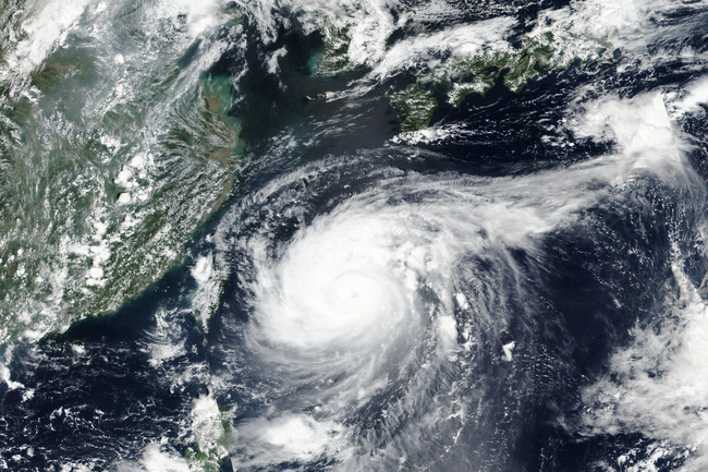 B&atilde;o Maysak t&agrave;n ph&aacute; Nhật Bản, h&agrave;ng trăm chuyến bay bị hủy - Ảnh 1.