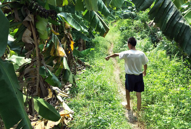 Arrested a suspect who blocked a car taking a 12-year-old girl to a banana garden to rape her in Hanoi - Photo 1.