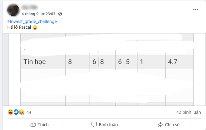 Dân mạng thi nhau tham gia trào lưu khoe điểm thấp tũn thời đi học: Đọc lý do mà cười sái quai hàm - Ảnh 2.