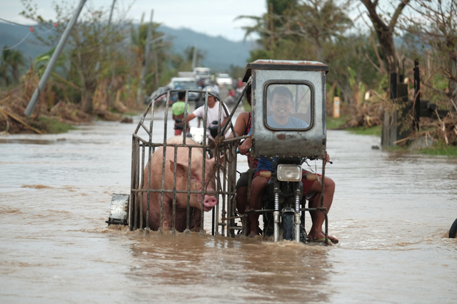 Nhiều vùng tại Philippines vẫn ngập sâu dù bão Vamco đã tan - Ảnh 3.