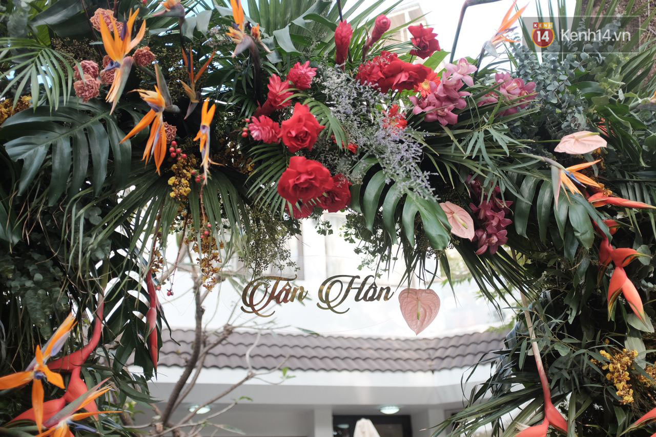 undefined - Ảnh 1. undefined - Ảnh 1.