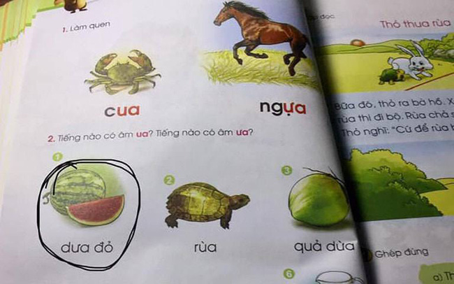 Công bố tài liệu chỉnh sửa các từ ngữ, bài tập đọc có nội dung không phù hợp trong sách giáo khoa Tiếng Việt 1 bộ Cánh Diều - Ảnh 1.