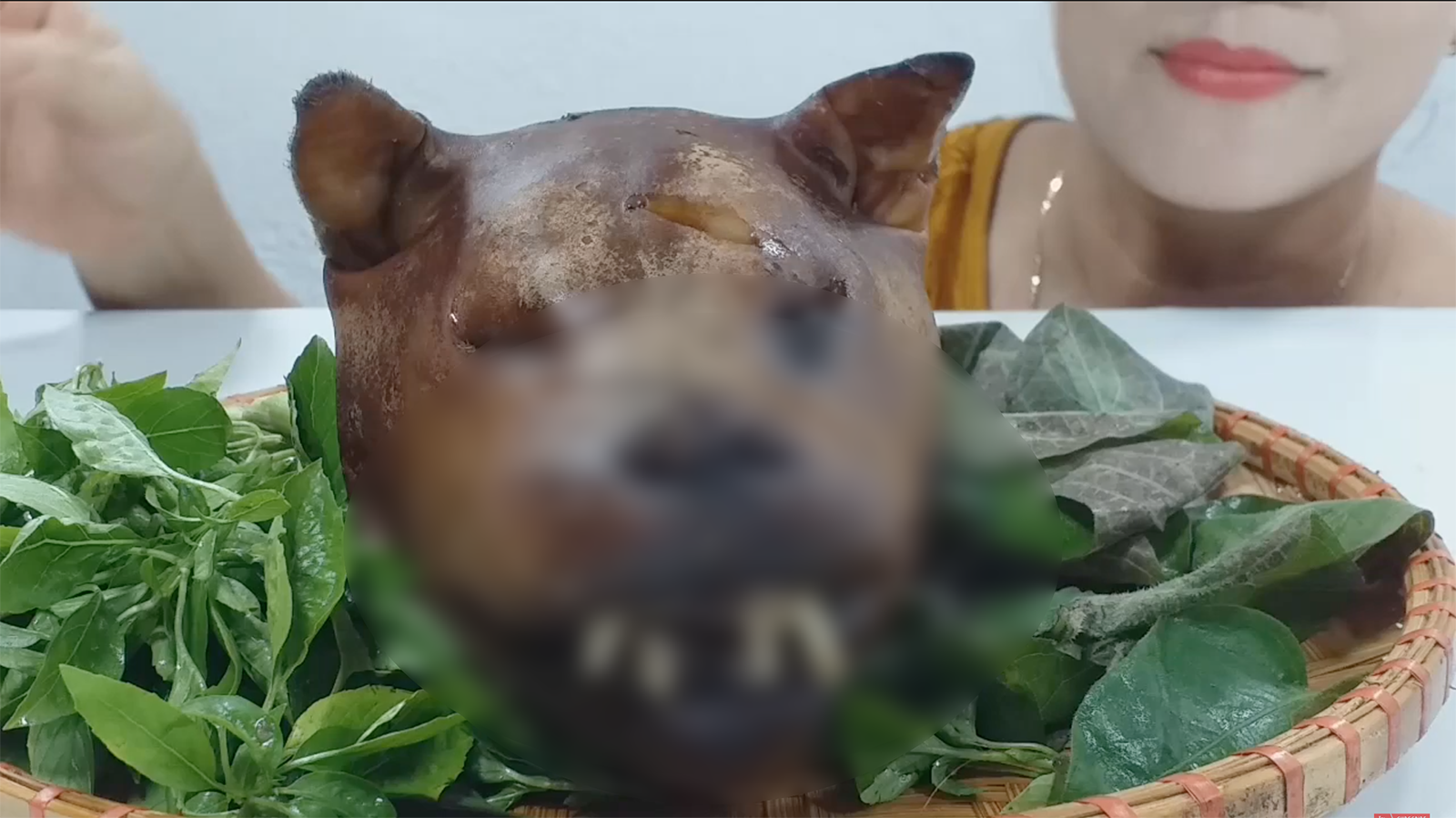 Ăn Thịt Chó Mèo, Vlogger Người Việt Gây Tranh Cãi Dữ Dội: Nhiều Người Phẫn  Nộ, Một Số Lại Cho Là Chuyện Bình Thường