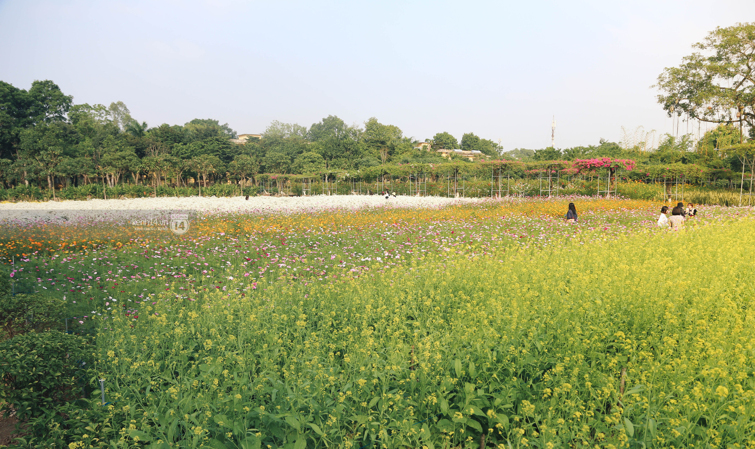 Trường ĐH rộng gần 200ha có vườn hoa đẹp nhất mùa đông Hà Nội, nhiều góc sống ảo cực chill chỉ với 25K - Ảnh 8.