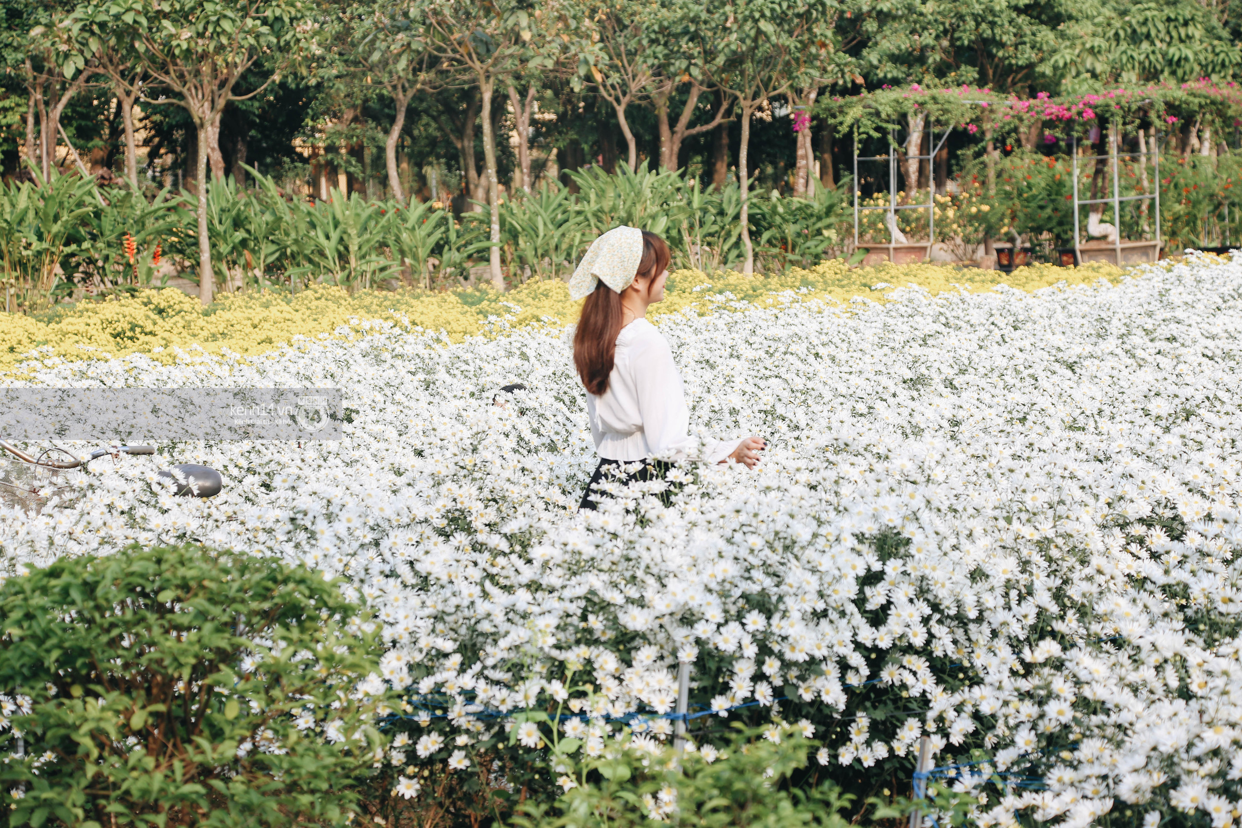 Trường ĐH rộng gần 200ha có vườn hoa đẹp nhất mùa đông Hà Nội, nhiều góc sống ảo cực chill chỉ với 25K - Ảnh 3.