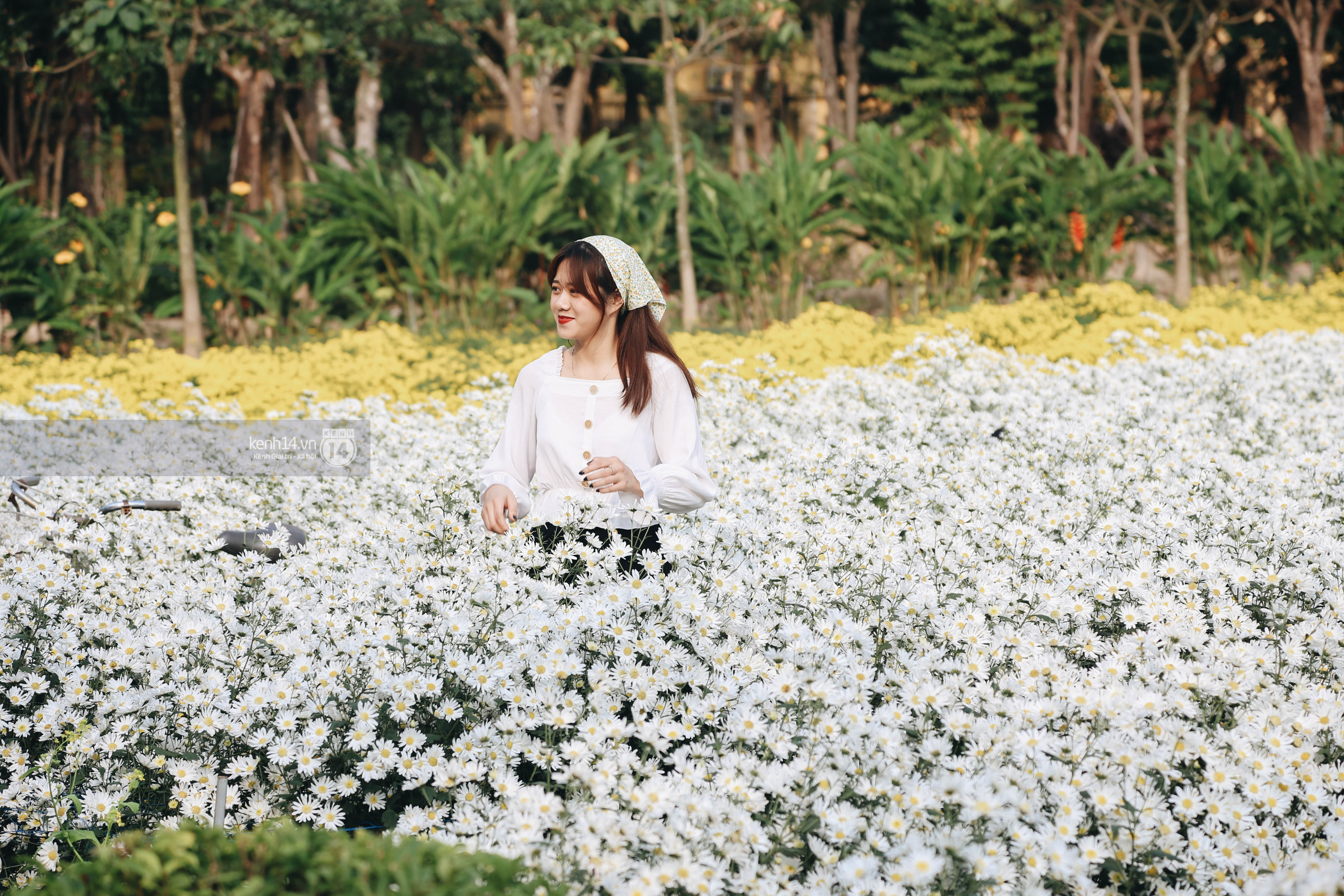 Trường ĐH rộng gần 200ha có vườn hoa đẹp nhất mùa đông Hà Nội, nhiều góc sống ảo cực chill chỉ với 25K - Ảnh 2.