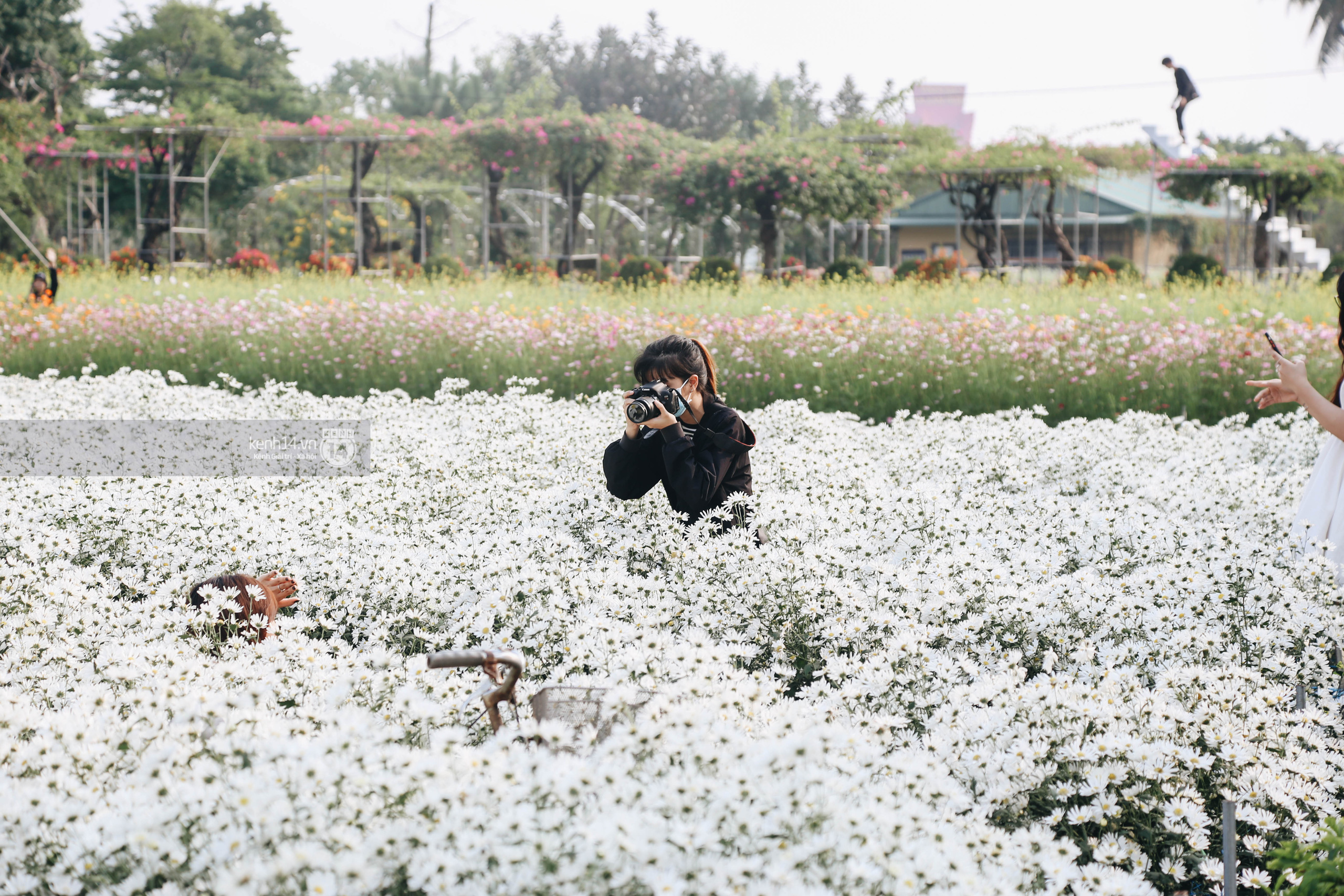 Trường ĐH rộng gần 200ha có vườn hoa đẹp nhất mùa đông Hà Nội, nhiều góc sống ảo cực chill chỉ với 25K - Ảnh 6.