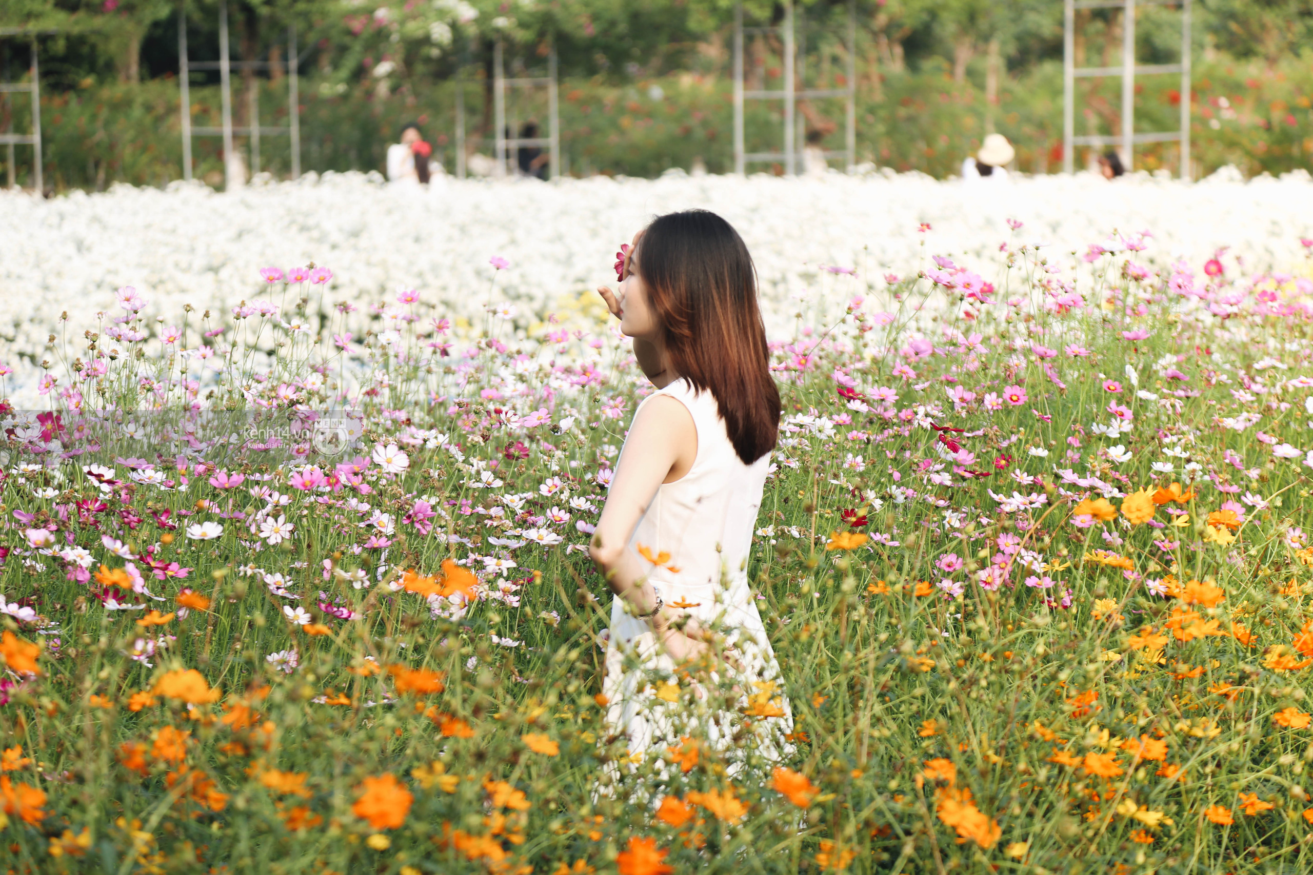 Trường ĐH rộng gần 200ha có vườn hoa đẹp nhất mùa đông Hà Nội, nhiều góc sống ảo cực chill chỉ với 25K - Ảnh 5.