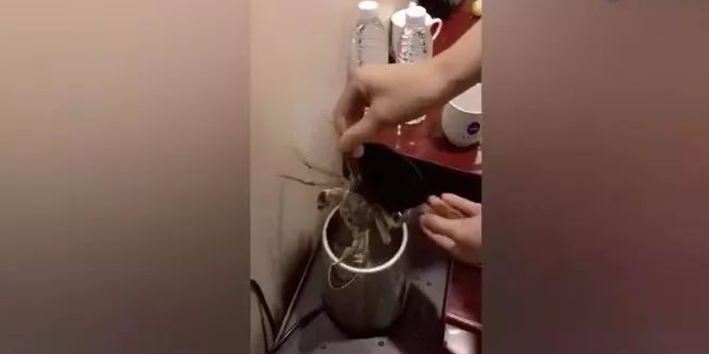 “Ngay khi nhận phòng khách sạn nên đun ấm nước sôi đổ vào bồn cầu”: bạn sẽ rùng mình khi biết sự thật sau lời khuyên này - Ảnh 2. “Ngay khi nhận phòng khách sạn nên đun ấm nước sôi đổ vào bồn cầu”: bạn sẽ rùng mình khi biết sự thật sau lời khuyên này - Ảnh 2.